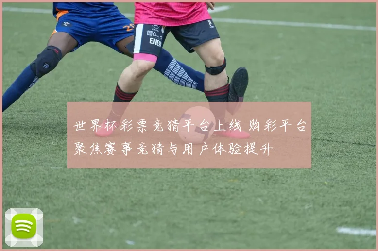 世界杯彩票竞猜平台上线 购彩平台聚焦赛事竞猜与用户体验提升