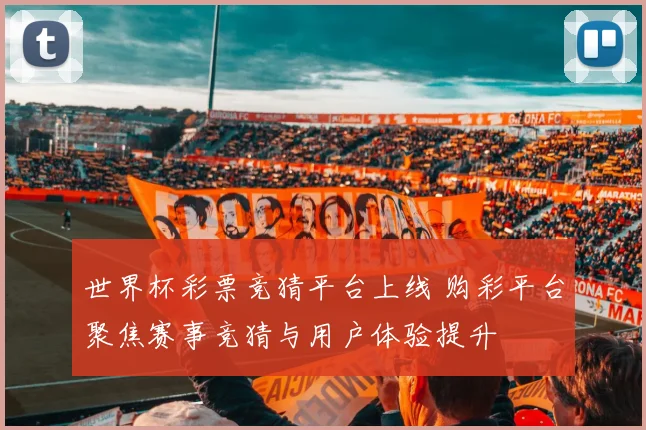 世界杯彩票竞猜平台上线 购彩平台聚焦赛事竞猜与用户体验提升