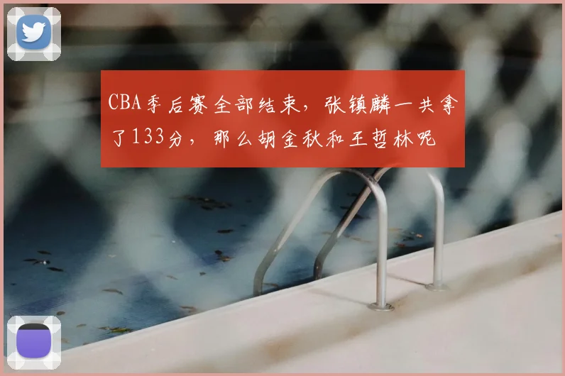CBA季后赛全部结束,张镇麟一共拿了133分,那么胡金秋和王哲林呢