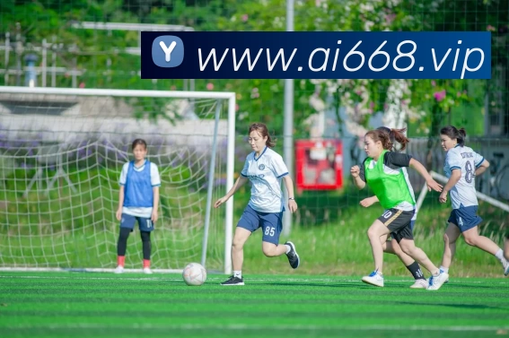 多媒体互动体验